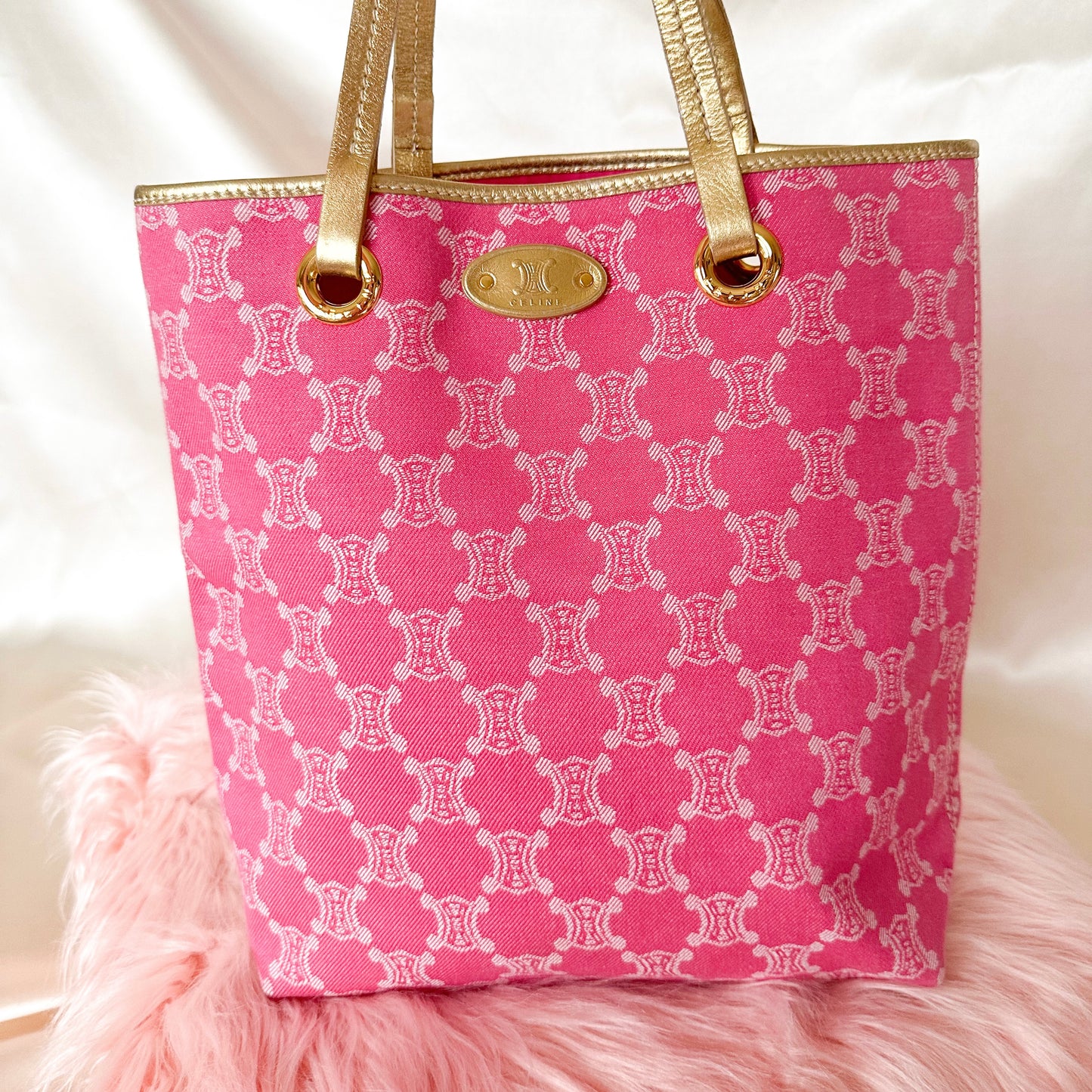 Celine Vintage Canvas Macadam Tote