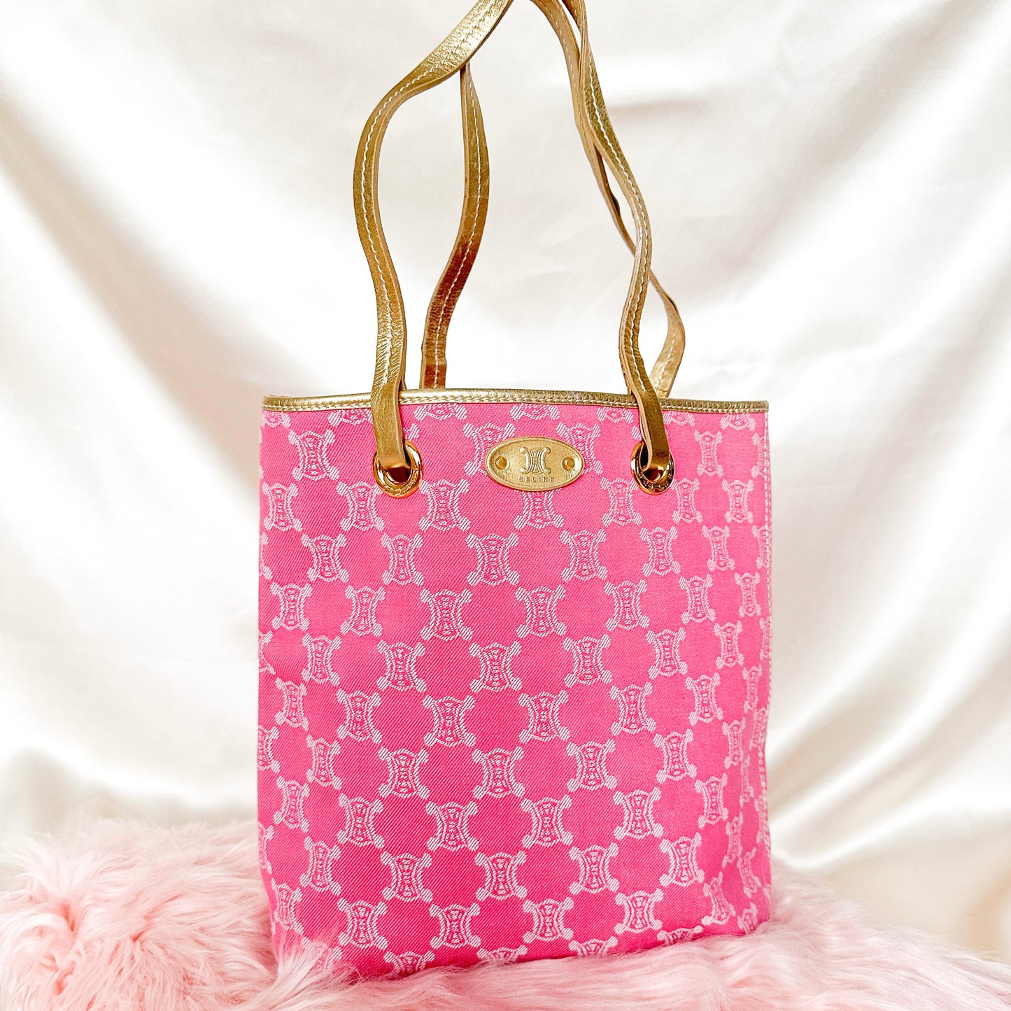 Celine Vintage Canvas Macadam Tote