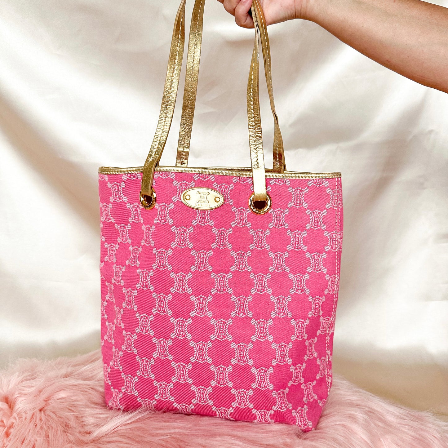 Celine Vintage Canvas Macadam Tote