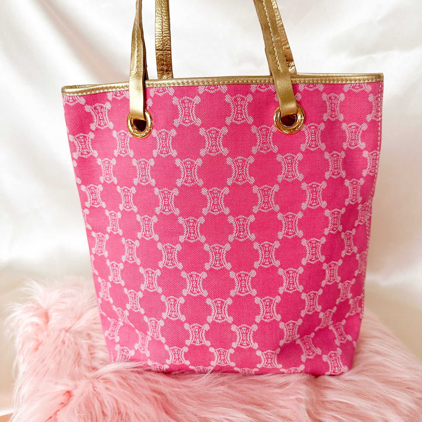 Celine Vintage Canvas Macadam Tote