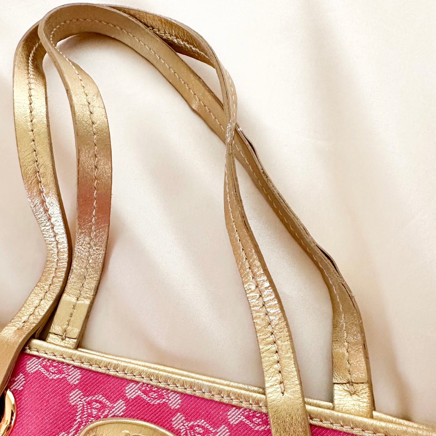 Celine Vintage Canvas Macadam Tote