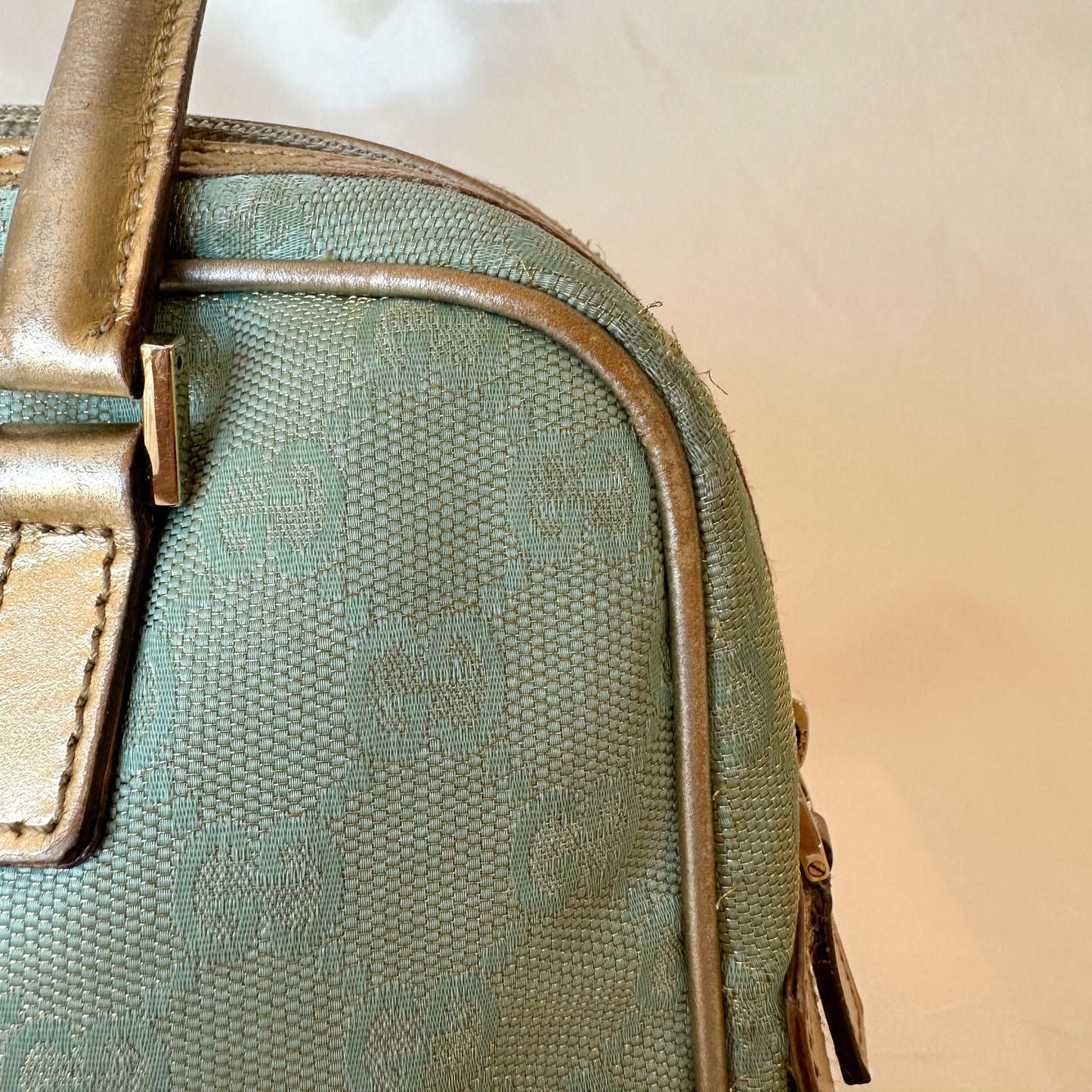 Gucci Vintage Glitter Mint Monogram Speedy