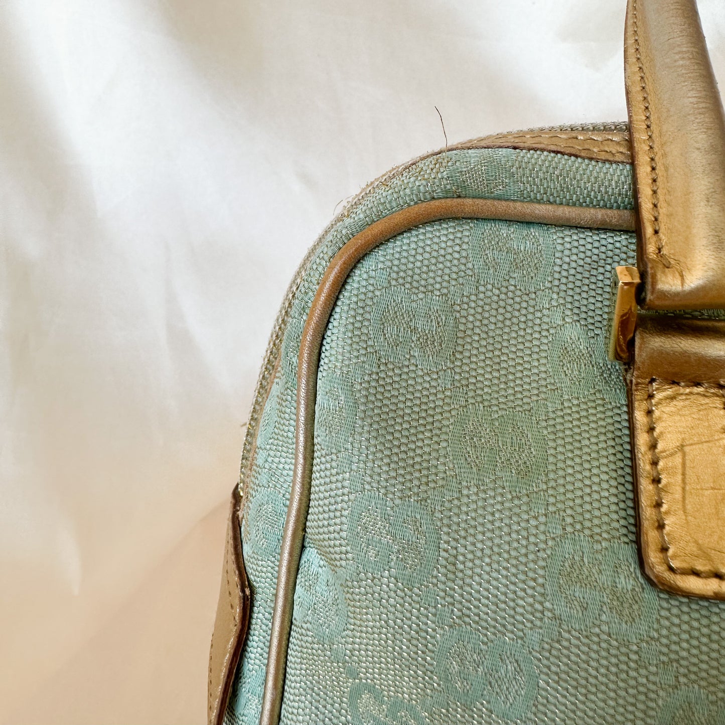Gucci Vintage Glitter Mint Monogram Speedy
